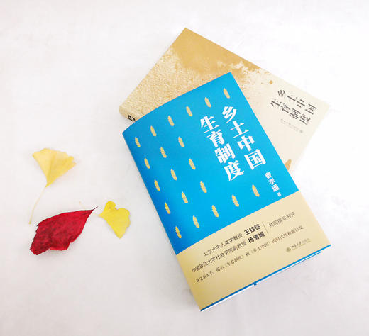 (仓发) 乡土中国 生育制度/北京大学出版社/费孝通/9787301316900 商品图5