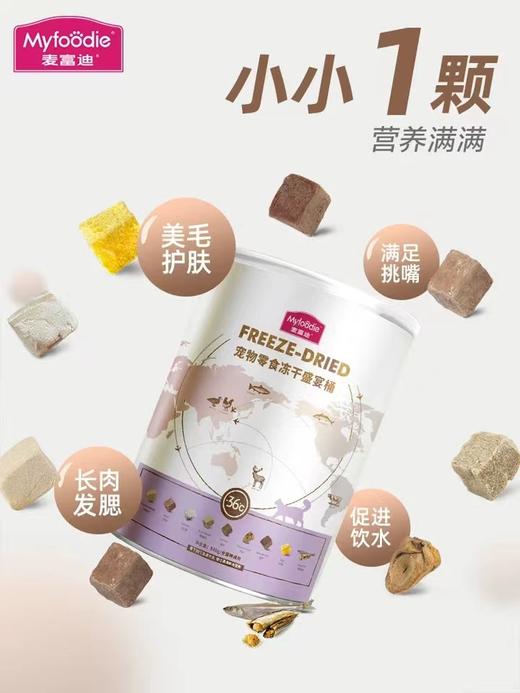 麦富迪猫零食猫咪冻干桶零食增肥营养发腮500g成猫幼猫营养小鱼干 商品图3