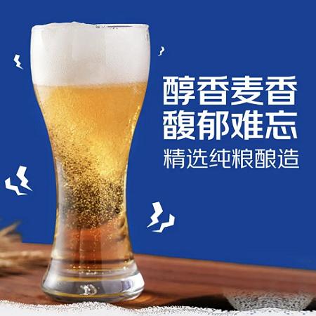 狩猎神白啤酒568ml 商品图2