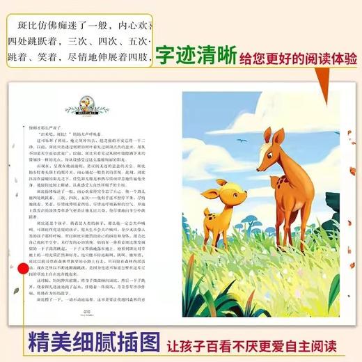 国际大奖儿童文学8册《骑鹅旅行记》小学生课外阅读 适合9到~15岁 商品图2