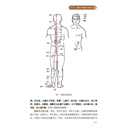 手到病除之经络养生：十二经脉与奇筋八脉 商品图0
