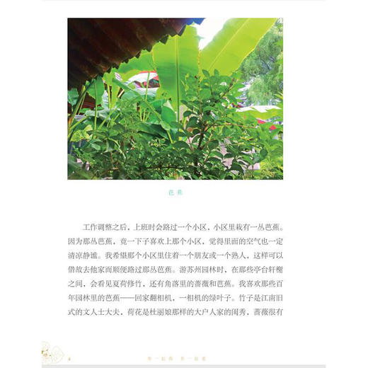 (仓发) 从前慢书系·养一缸荷，养一缸菱/广西师范大学出版社/许冬林/9787559819048 商品图4