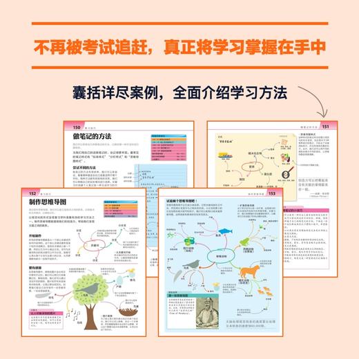 《DK高效学习法》套装 | 专家权威编写，关于“学习方法”的百科全书 商品图2