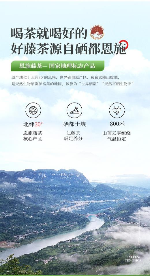 LF来凤藤茶春上寻100g 商品图8