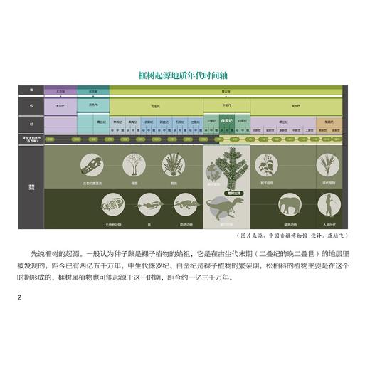 看图识香榧/斯海平/浙江大学出版社/农业/栽培 商品图4