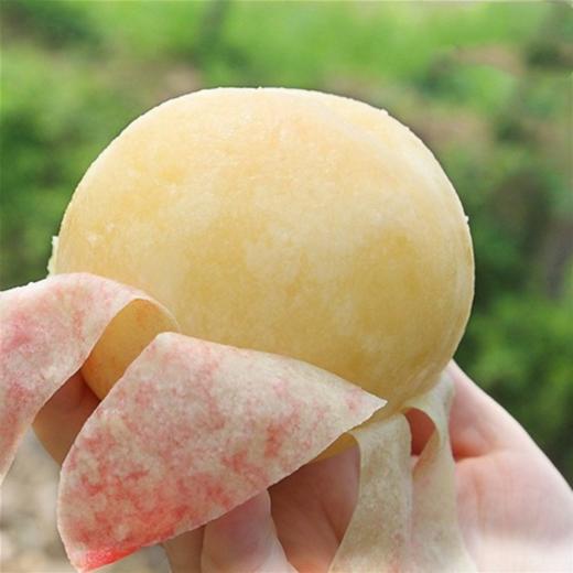 甄源无锡阳山水蜜桃湖景桃规格45两8个净重324斤规格56两8个净重448斤