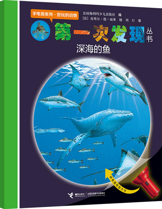 【新东方专享】第一次发现·神奇手电筒（共6册）（3-7岁） 商品图4