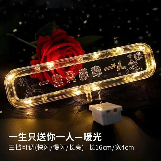 艺术灯窜--发光灯牌 商品图9