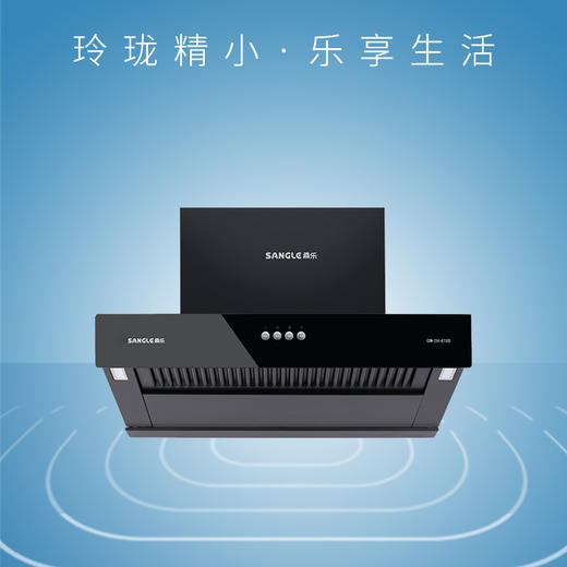 桑乐（SANGLE）吸油烟机CXW-268-K700D 商品图0
