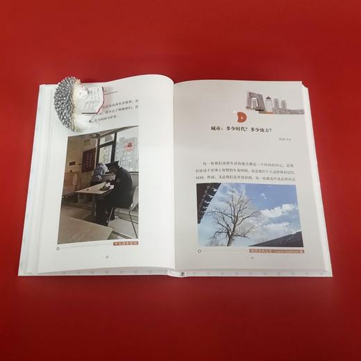 (仓发) 中国日记：一个巴西人眼里的真实中国/北京大学出版社/弗朗西斯科·福特·哈德曼/9787301317198 商品图7