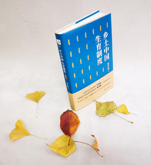 (仓发) 乡土中国 生育制度/北京大学出版社/费孝通/9787301316900 商品图3