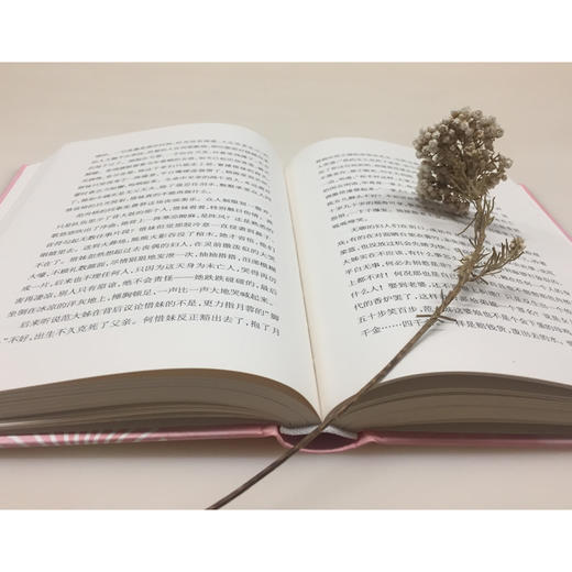 (仓发) 盛世天光/广西师范大学出版社/[马来西亚]李天葆/9787559823021 商品图5