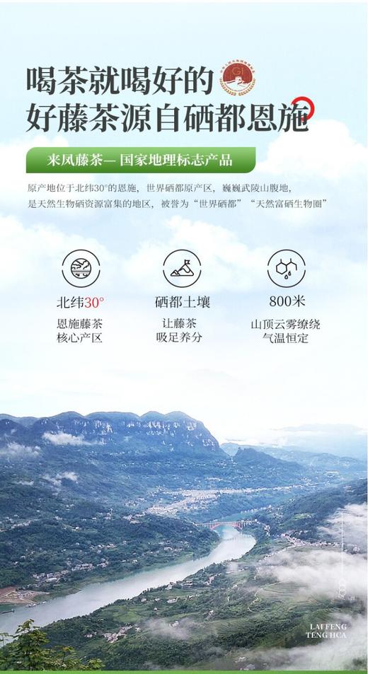 LF来凤藤茶春上寻150g 商品图6