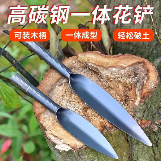 小铲子户外挖野菜铲家用阳台种花工具园艺多肉松土起根器赶海铁锹 商品图1