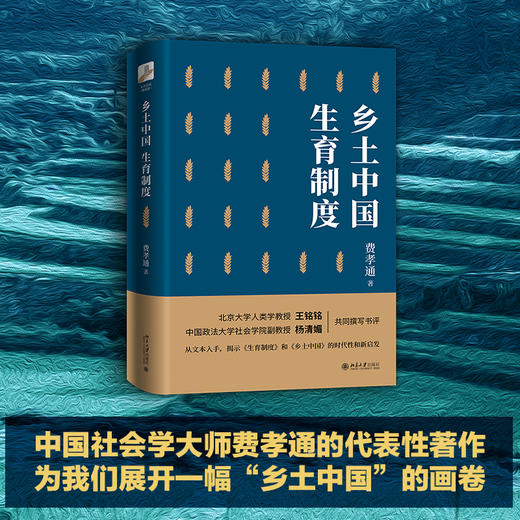 (仓发) 乡土中国 生育制度/北京大学出版社/费孝通/9787301316900 商品图1