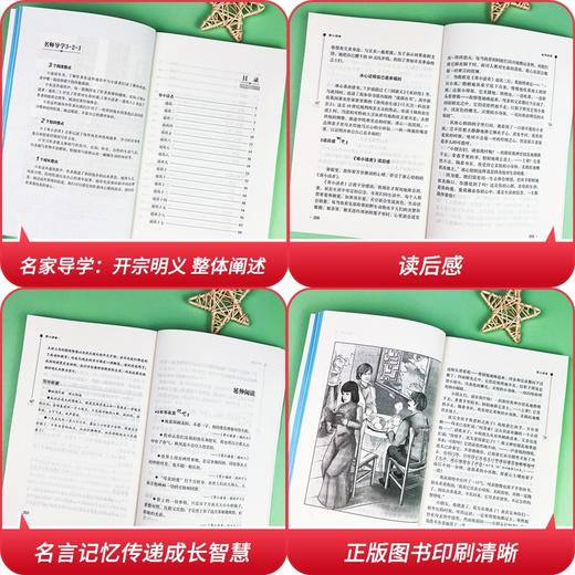 (仓发) 寄小读者 中小学课外阅读 无障碍阅读 智慧熊图书/南方出版社/冰心/9787550166653 商品图1