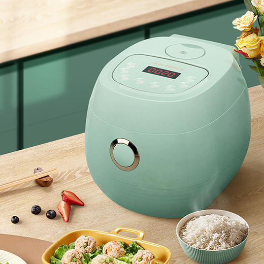 天际 迷你2升 电饭锅 FD20B-W 商品图4