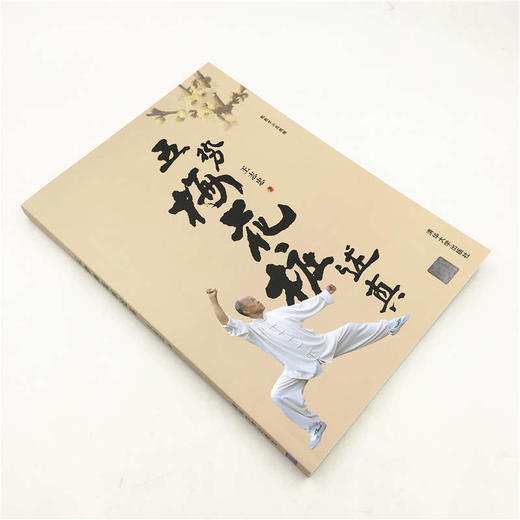 (仓发) 五势梅花桩述真/清华大学出版社/王志忠/9787302526223 商品图2