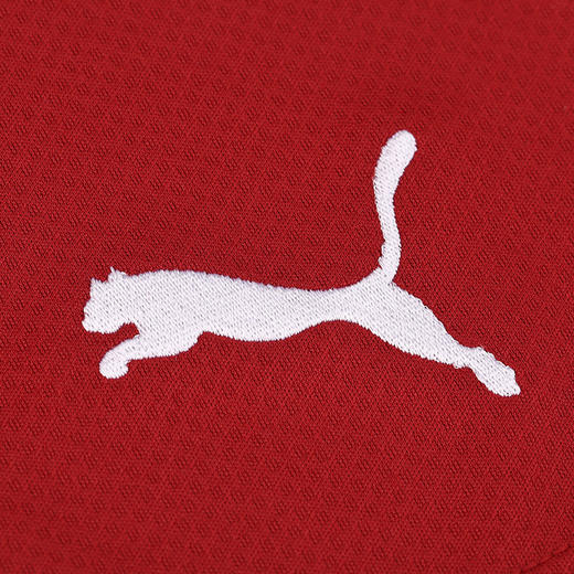 PUMA/彪马 MCFC Shorts Replica22-23赛季曼城主场比赛短裤76575205 商品图5