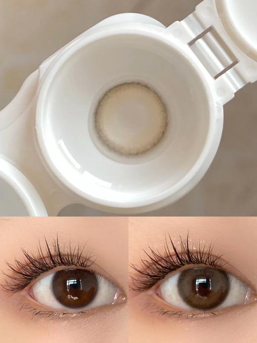 Sugarplum糖豆家-奶香栗 100   225    275-450    500-650    750-1000 缺  商品图4