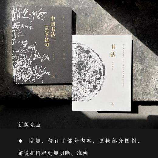 (仓发) 书法：一份关于书法的知识、观念和深入途径的备忘录/生活·读书·新知三联书店/邱振中/9787108069054 商品图1