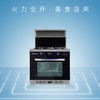 桑乐（SANGLE）集成灶JJZT-ZK565M 商品缩略图0
