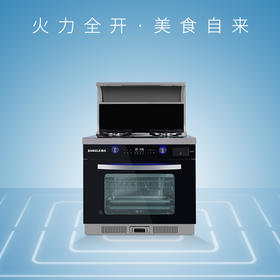 桑乐（SANGLE）集成灶JJZT-ZK565M