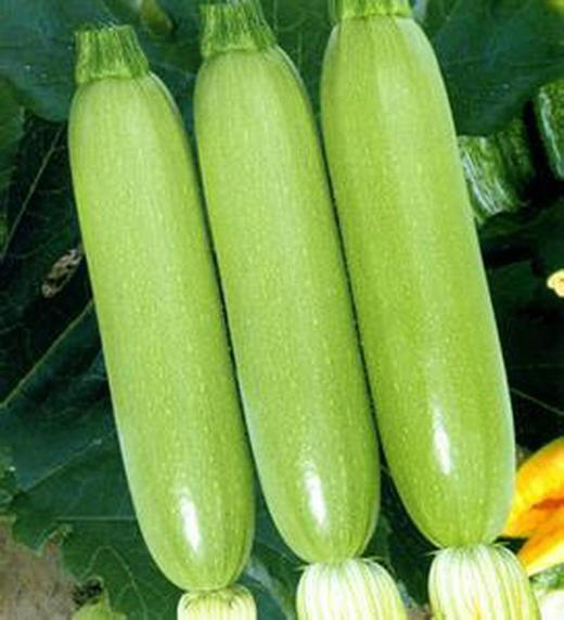 麦当电子卡券 商品图0