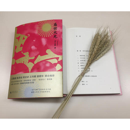 (仓发) 盛世天光/广西师范大学出版社/[马来西亚]李天葆/9787559823021 商品图3