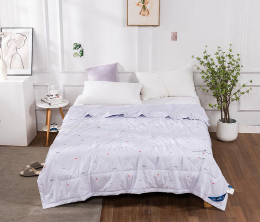 吸湿亲水可水洗凉被 商品图1