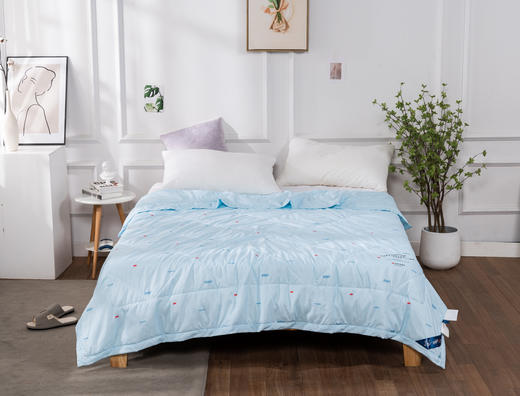 吸湿亲水可水洗凉被 商品图2