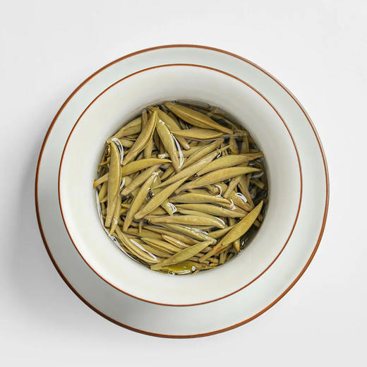 福鼎白茶 | 2023年一叶九鼎  大洋山  高山炭焙银针 300g/盒 商品图5