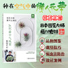 园艺大师藤川史雄的100种空气凤梨栽培手记 [日]藤川史雄 （园艺大师系列） 商品缩略图0