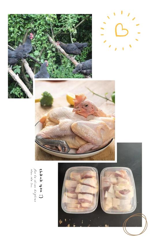 [配送｜爆款一只好鸡纯种黑凤鸡]中国珍惜种源|营养丰富|约2.5斤|源自农家自然造化  如风生活特惠 商品图1