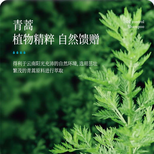 “康王之父”研发 新升级2代青蒿止痒沐浴露 植物精粹 温和除螨 “征服”螨虫痘 养出清爽美肌 商品图2
