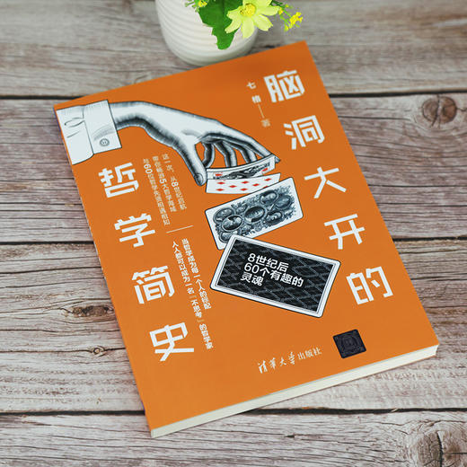 (仓发) 脑洞大开的哲学简史/清华大学出版社/七格/9787302567745 商品图2