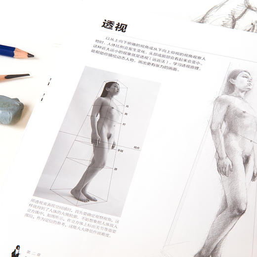 (仓发) 西方绘画技法经典教程：唯美的女人体素描/上海书画出版社/[日]山本雄三/9787547921395 商品图3