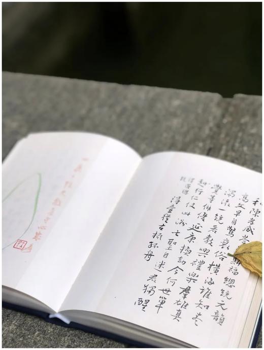 《谢无量自作诗册二种》，谢无量著，32开布面精装，全彩精印，限量400册，文物出版社2022年6月一版一印。售价280元。
 
谢无量先生（1884～1964）经历传奇，曾任孙中山先生特务秘书，后从事 商品图8