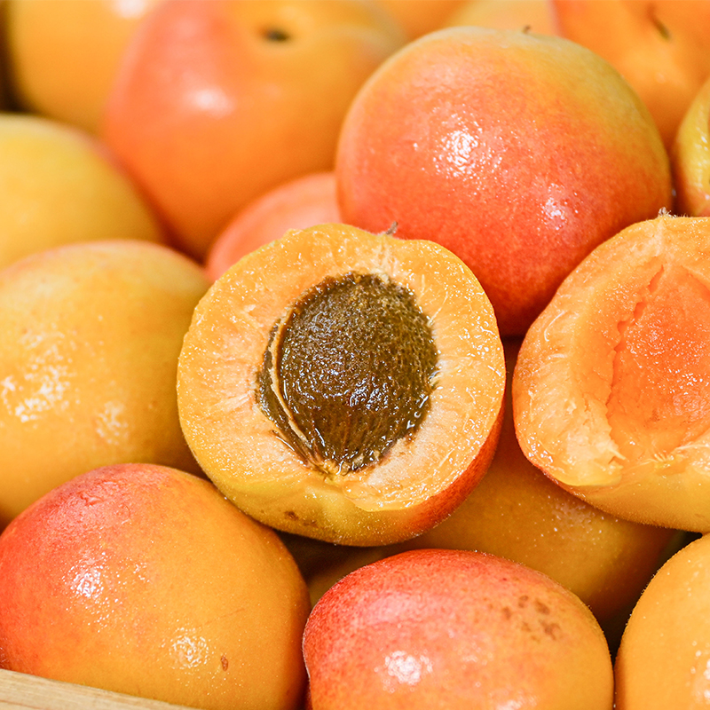 新疆小红杏 | 山人优选，顺丰空运发货