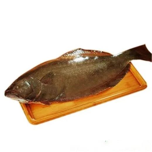 碟鱼600克/条 商品图3