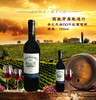 【特惠 买一赠一】西班牙原装进口红酒普兰尼诺DO干红葡萄酒750ml/瓶 商品缩略图0