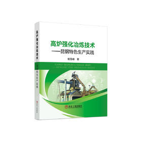 高炉强化冶炼技术——昆钢特色生产实践/杨雪峰