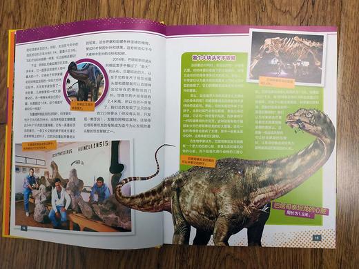 (仓发) 美国国家地理超级专家：恐龙/中国纺织出版社/莉拉·纳尔吉，史蒂夫·布鲁萨特，邢立达/9787518071647 商品图2