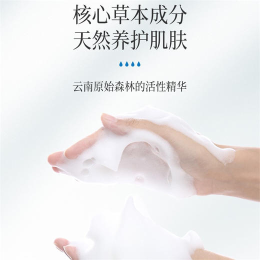 “康王之父”研发 新升级2代青蒿止痒沐浴露 植物精粹 温和除螨 “征服”螨虫痘 养出清爽美肌 商品图3