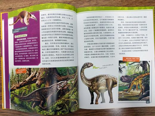 (仓发) 美国国家地理超级专家：恐龙/中国纺织出版社/莉拉·纳尔吉，史蒂夫·布鲁萨特，邢立达/9787518071647 商品图4