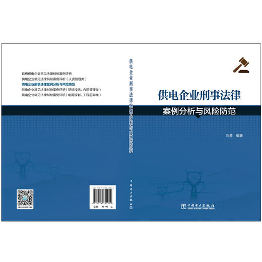 (仓发) 供电企业刑事法律案例分析与风险防范/中国电力出版社/刘慧/9787519840914 商品图2