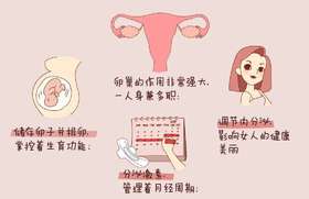 女性40岁以后唯独腹部发胖，根源可能在卵巢！