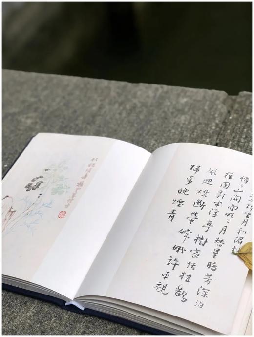 《谢无量自作诗册二种》，谢无量著，32开布面精装，全彩精印，限量400册，文物出版社2022年6月一版一印。售价280元。
 
谢无量先生（1884～1964）经历传奇，曾任孙中山先生特务秘书，后从事 商品图14