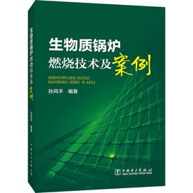 生物质锅炉燃烧技术及案例