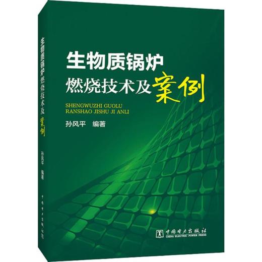 生物质锅炉燃烧技术及案例 商品图0